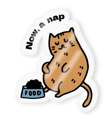 Transparent Stickers