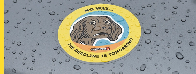 Laminated Vinyl Stickers